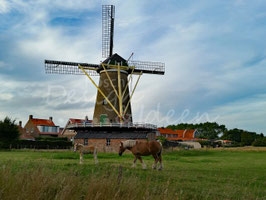 Windmühle Oostkapelle