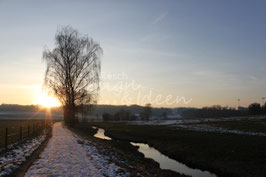Rickenbach 7
