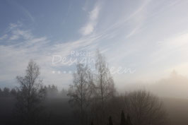 Lauterbach 4