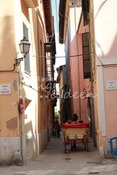 Palma de Mallorca 3