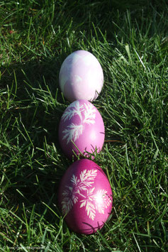 Ostereier pink