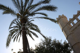 Palma de Mallorca 1