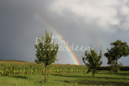 Regenbogen 2