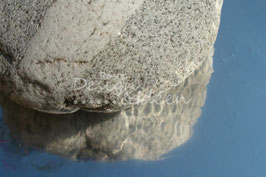 Maggia Granit 29