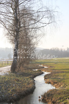 Rickenbach 3