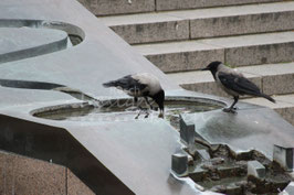 Berliner Stadtraben
