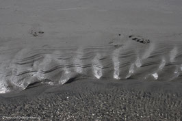 Ebbe am Nordseestrand 3