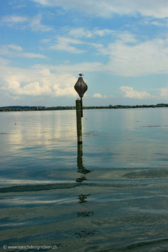 Bodensee bei Gottlieben