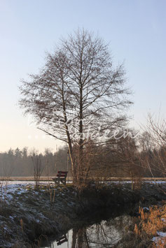 Rickenbach 5