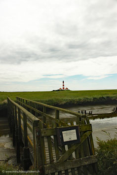 Westerhever Salzwiesen 6