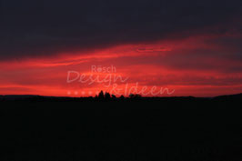 Sonnenaufgang im Saharasand Rickenbach