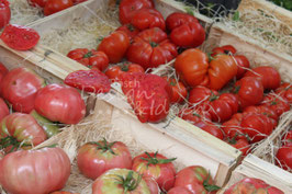 Tomaten 3