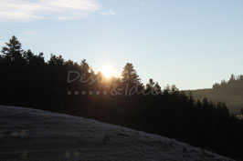 Lauterbach 1