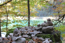 Steine im Zauberwald 1