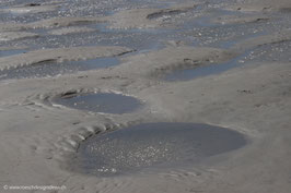 Ebbe am Nordseestrand 2