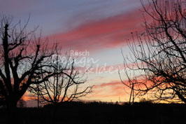 Sonnenuntergang Rickenbach 3
