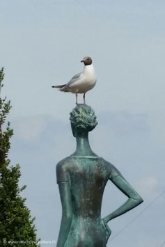 Frau mit Möve