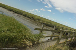 Westerhever Salzwiesen 4