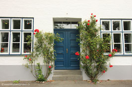Tür mit Rosenbüschen