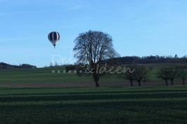 Rickenbach 9