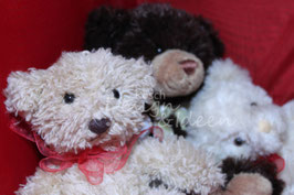 Teddy 2
