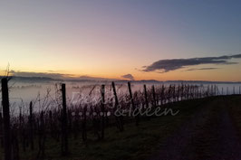 Sonnenuntergang im Nebel 1