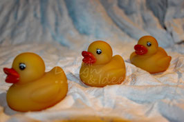 Quitschenten