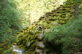 Tüfelschile Tösstal