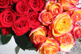 Rosenstrauss rot+orange 2