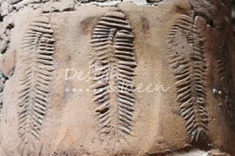 Fossil 3