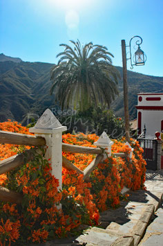 Tejeda, Gran Canaria 2