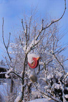 Roter Vogel im Schnee