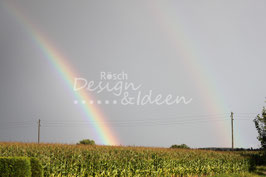 Regenbogen 1