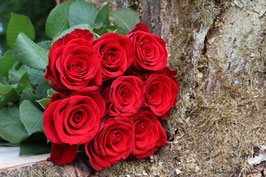 Rosenstrauss rot 2