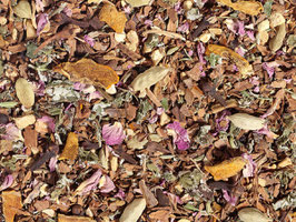 Gewürztee Chai Classic Bio