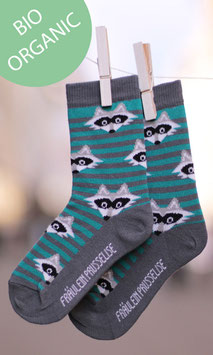 Kindersocken Waschbär Bio