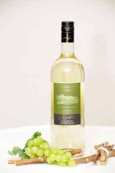 Megger Piwi Blanche