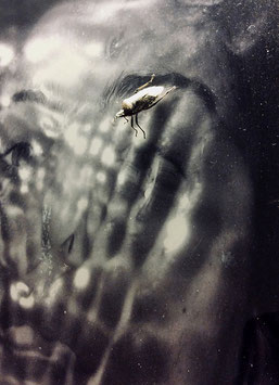 Autoportrait