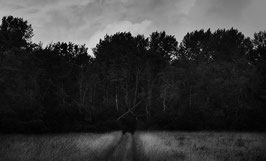 "Le bord du monde" XXXI