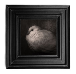 "L'oiseau"