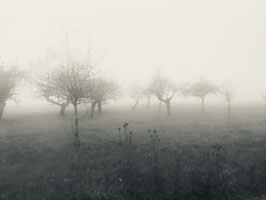 Paysage 6