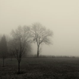 Paysage // 2bis