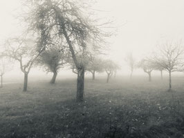 Paysage 2