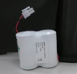 Pacco batterie 2xD SAFT   compatibile con i sistemi DUEVI