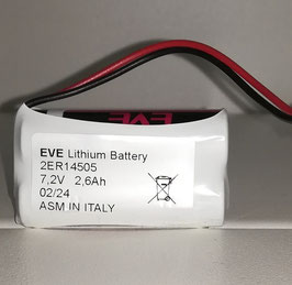 Pacco batterie Litio 2 x AA  LS14505 7,2V con cavi liberi