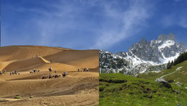 BILDBEARBEITUNG Natur und Landschaft