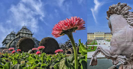 Bildgestaltung im Schlosspark