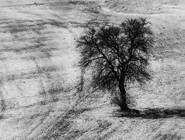 Landschaft im Winter
