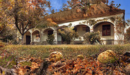 Zeitreise im Herbst