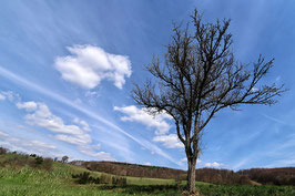 Natur- und Landschaftsfotografie Praxis